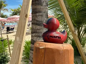 Buffalo Bills Mafia 3D Printed Collectible Duck