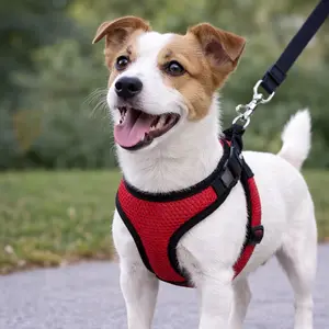 Adjustable Red Mesh Dog Harness – One Size Breathable Lightweight Pet Walking Vest with D-Ring