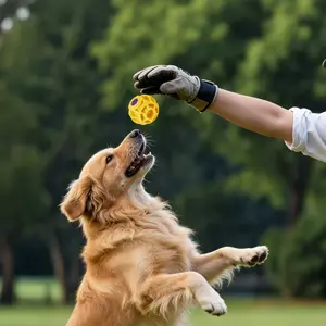 Silicone Dog Toy Ball, Pet Sound Ball, Durable Chewable Toothbrushing, Intelligence Puzzle Stress Relief, Interactive Training Ball