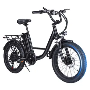 1000W Electric Bike 48V 15Ah Removable Battery 20''X3" Fat Tire Electric Bicycle 7-Speed E-Bike with Dual Disc Brake