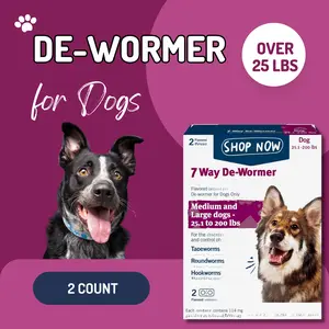 Flavored Digestive Care Chews for Medium & Large Dogs, Daily Gut Support Tablets for Comfortable Routine Feeding