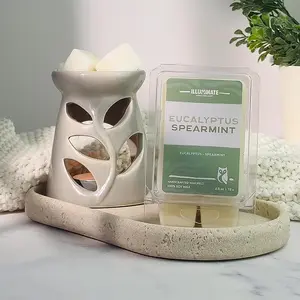 Non-Toxic Eucalyptus & Spearmint Fragrance Melt Cube Candles - Traditional Fresh Smell Candles, Home Supplies for Aromatic Decoration