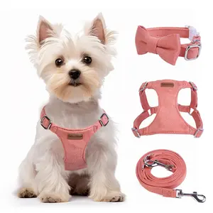 Dog Harness and Leash Set, XXS No Pull Adjustable Puppy Harness with Multifunction Red Dog Leash and Collar, Soft No Choke Escape Proof Pet Harness Vest for Small Dogs and Cats (Red, XXS)