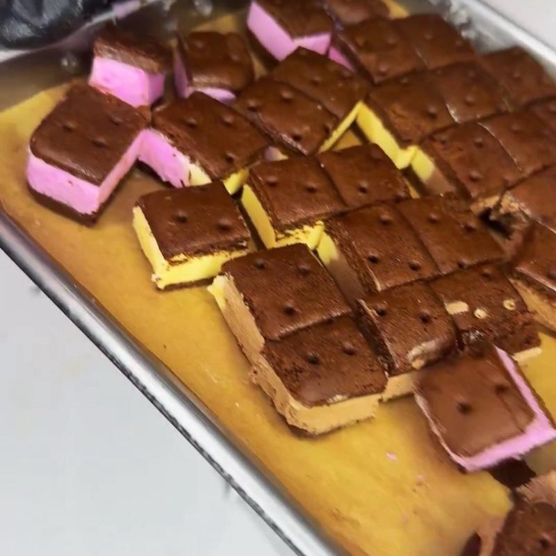Freeze Dried NEAPOLITAN Ice Cream Sandwich Bites - TikTok Viral - Crunchy Ice Cream - Astronaut Candy