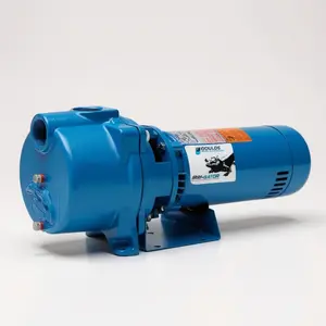 Goulds GT10 IRRI-GATOR Self Priming Centrifugal Pump (1 HP, Single Phase)