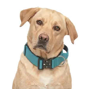 Vibrant Teal Dog Collar for Labrador Retriever, Quick Release Metal Buckle Pet Gear with Control Handle, Comfortable Blue Walking Collar for Active Large Breeds