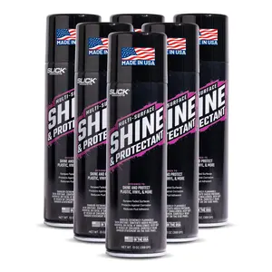 Shine & Protectant 6-Pack