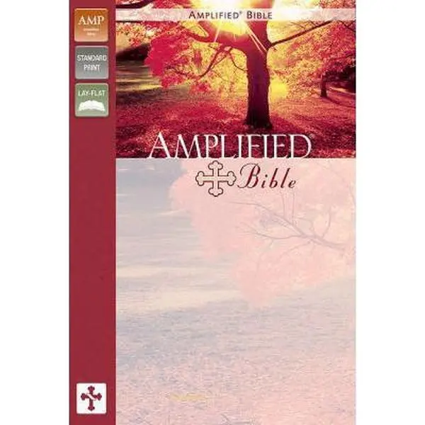 Used English Amplified Study Bible - Zondervan Publication, Good Bonded Leather Cover, 12-Point Large Print, Italics, References (Unknown Edition), 12-Point Type Size