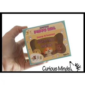 Puppy Dog Themed Surprise Box - Blind Bag Toy Set - Mini Toy Figures and Accessories