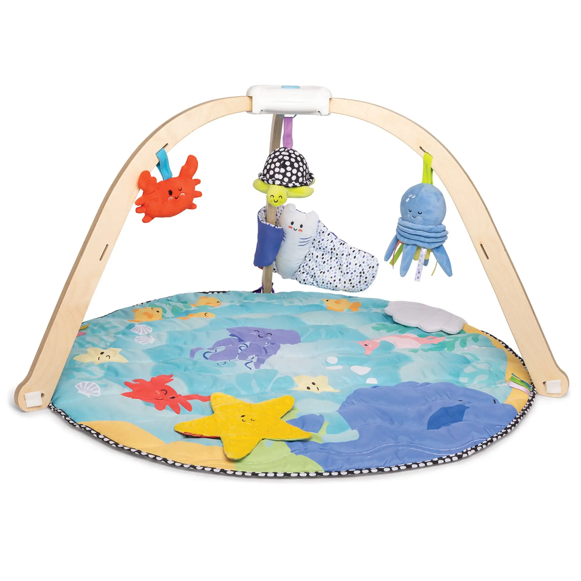 Ocean EasyFold Play Gym
