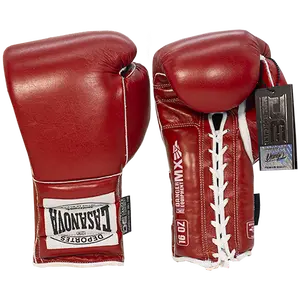 Boxing Gloves Danger-Casanova  Rocky Edition