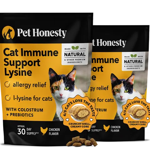 Pet Honesty Dual Texture Immune Support Lysine for Cats – Allergy Relief & Immune Health Supplement for Cats 2-Pack (60 Day Supply) – Supports Respiratory, Skin & Immune System with L-Lysine, Colostrum & Quercetin (Chicken Flavor)