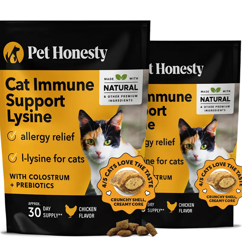 Pet Honesty Dual Texture Immune Support Lysine for Cats – Allergy Relief & Immune Health Supplement for Cats 2-Pack (60 Day Supply) – Supports Respiratory, Skin & Immune System with L-Lysine, Colostrum & Quercetin (Chicken Flavor)