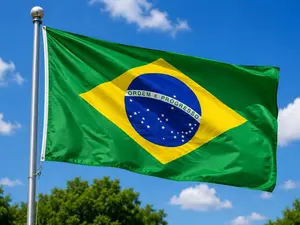 Country Flags (Brazil, Argentina, Haiti) 3x5 ft Home Decor Wall Hangings