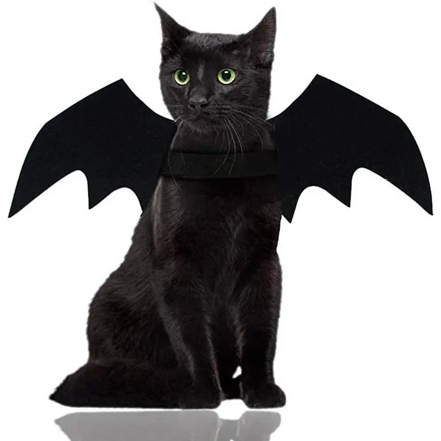 Halloween  Costume for Cats Dogs Pet Bat Wings   Bat Costume Wings