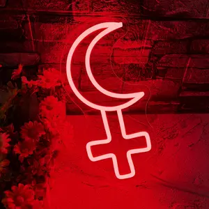 Moon-Shaped Wall-Mounted Neon Light — USB-Powered, Adjustable Brightness, Decorative Ambient Wall Light