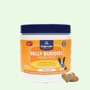 Origin Labs Belly Buddies Probiotics for Dogs - 90 Tasty Bacon-Flavored Chews for Gut Health Support
