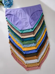 【Plus Size】 Solid Color Panty, Soft Comfy Breathable Knicker for Daily Wear, Women's Underwear for All Seasons, Soft Comfy Brief, Womenswear, Fashion Breathable Underwear, Soft Breathable Panties