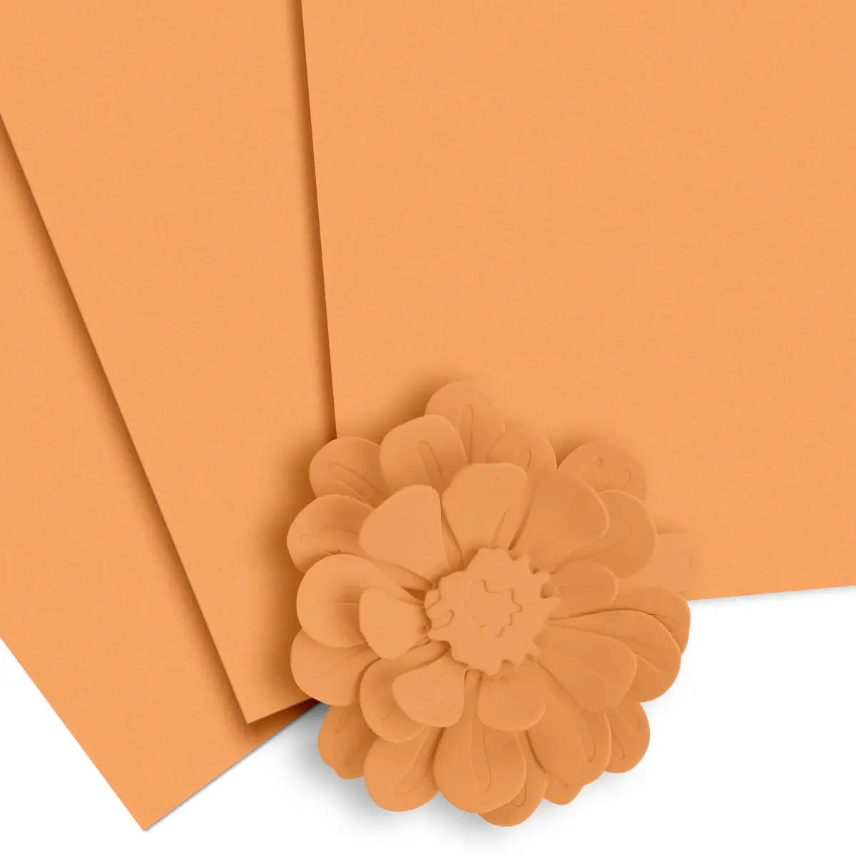 Crafty Necessities: Chamomile Cardstock (10 sheets/set)