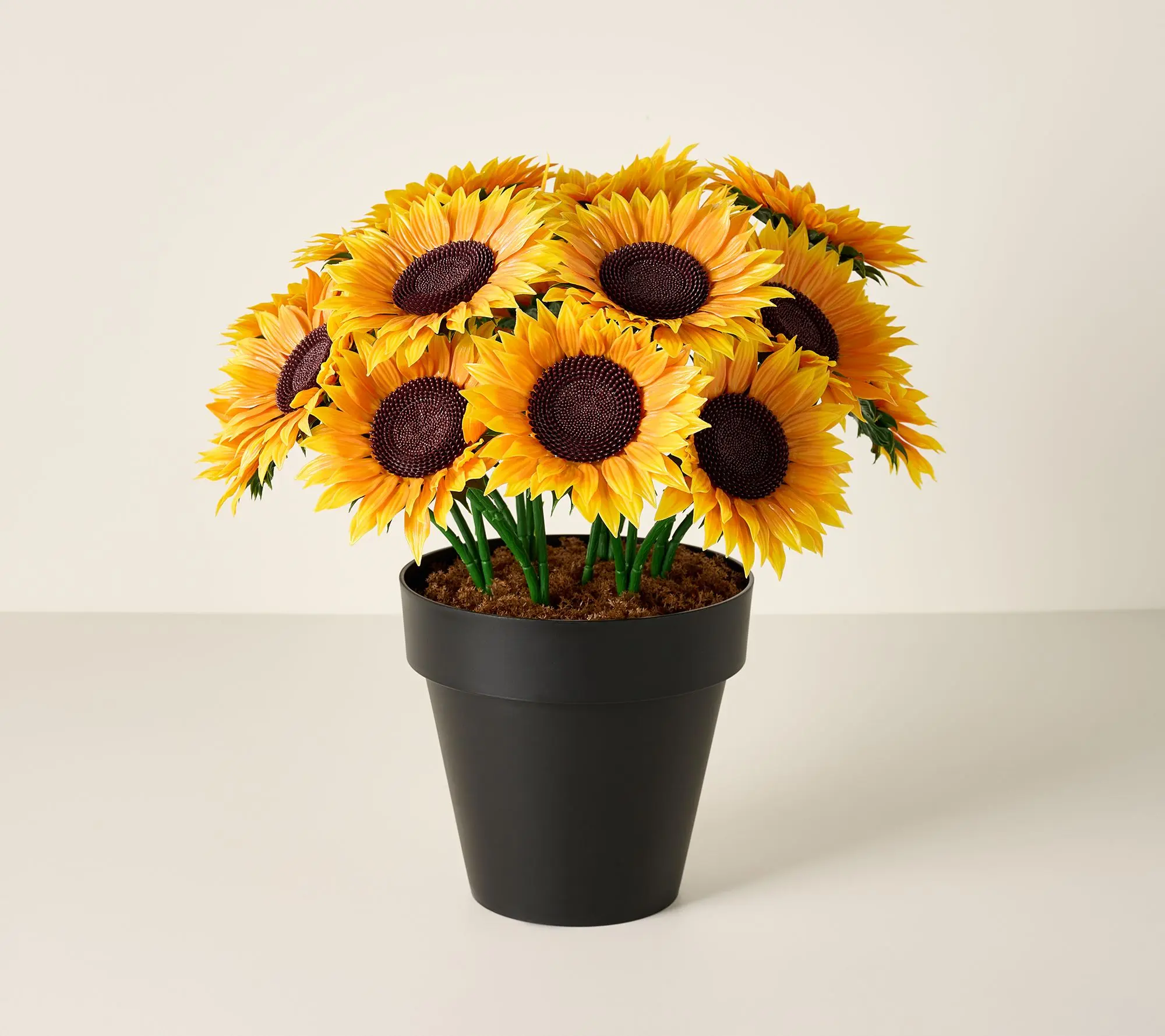 Wicker Park 17" Jumbo Bloom Potted Sunflower Arrangement Wicker Park 17" Jumbo Bloom Potted Sunflower Arrangement