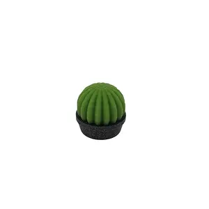 1:24 Scale Cactus Plant in Planter - 1/24 Modern Mini Doll House Furniture Miniature