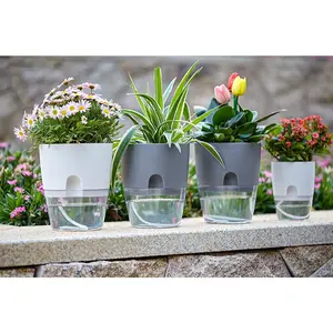 Self Watering Planter