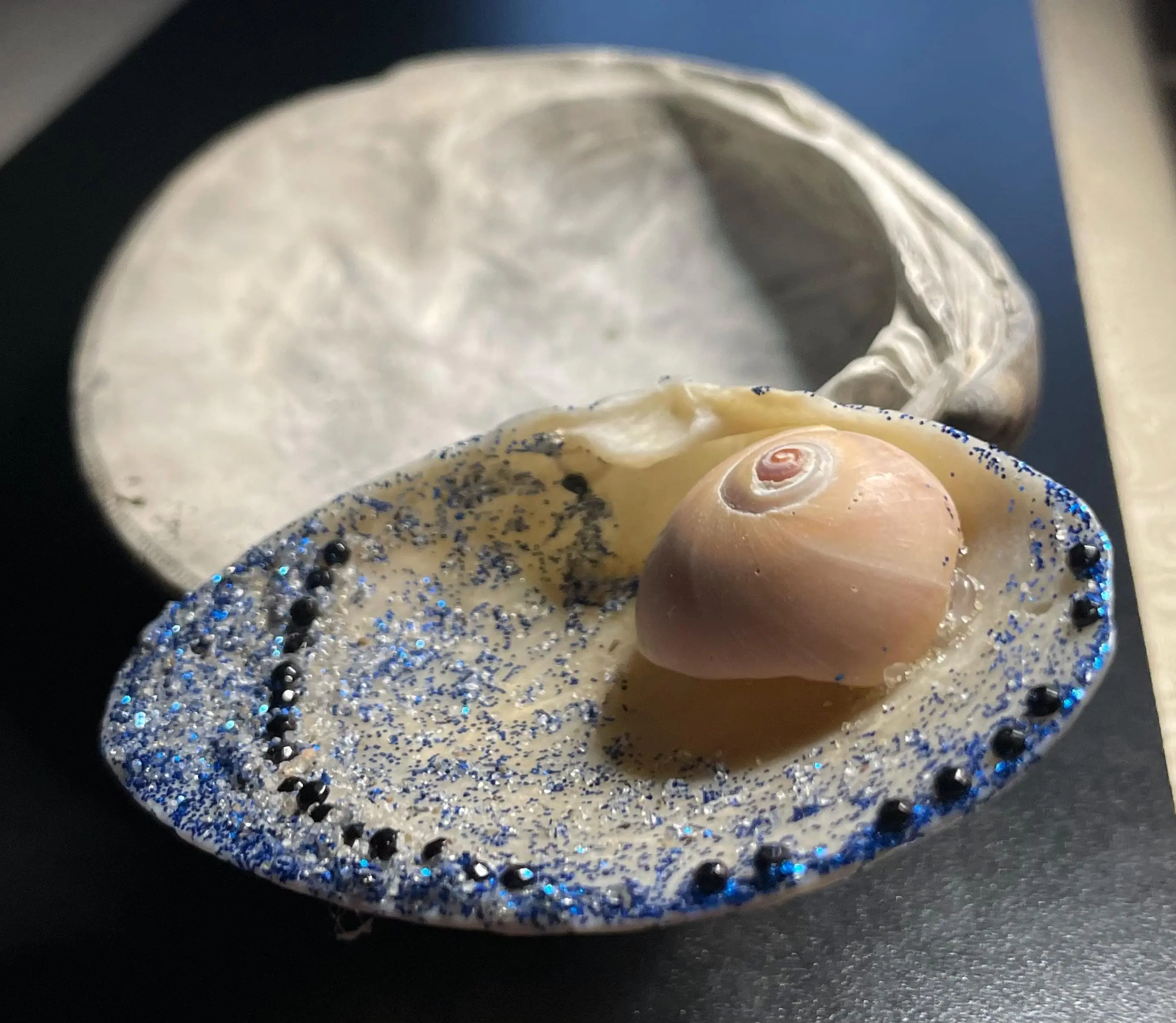 Blue Sparkles Shell