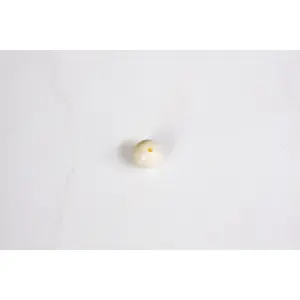 Cow/Bovine Bone Round Smooth Bead