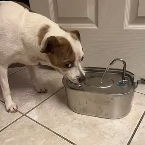 3.2L Stainless Steel Pet Water Fountain, USB Rechargeable Design, Automatic Drinking Fountain, Automatic Water Feeder for Dogs & Cats, Easy to Clean