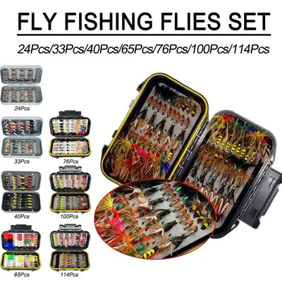 Arnold Db Flys - TikTok Shop