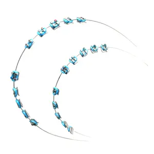 Temporary braces 2pcs 1 set of stylishzipper decoration, novel upper andlower jaw hooks, colored plasticorthodontic accessories for teenagersand adults black accent oral use stainless steel temporary veneer metal dental brace durable dental material Pack