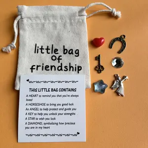 Little Friendship Gift Bag, Cute Gift Bag with Pocket Hug Card & Cute Gifts, Personalized Friendship Gift Bag, Perfect Gift for Friends
