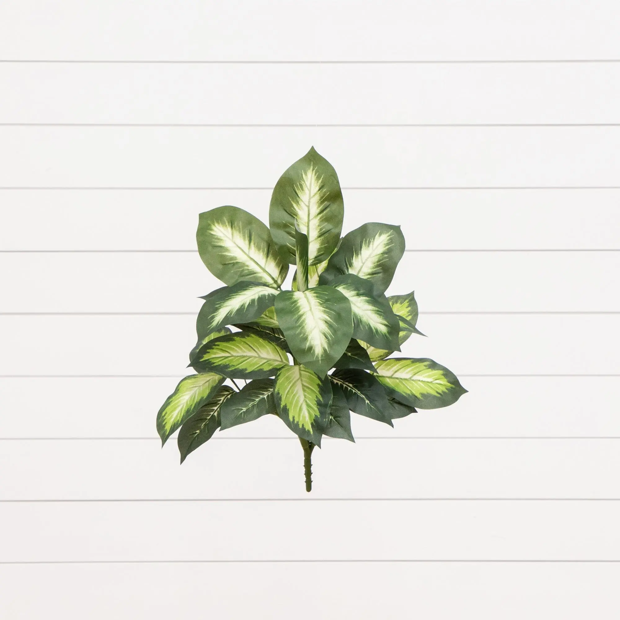 20" Artificial Golden Dieffenbachia Potted Set - 6 Pieces, Indoor Faux Plant, Decorative House Plants Decor, Home Accent Piece