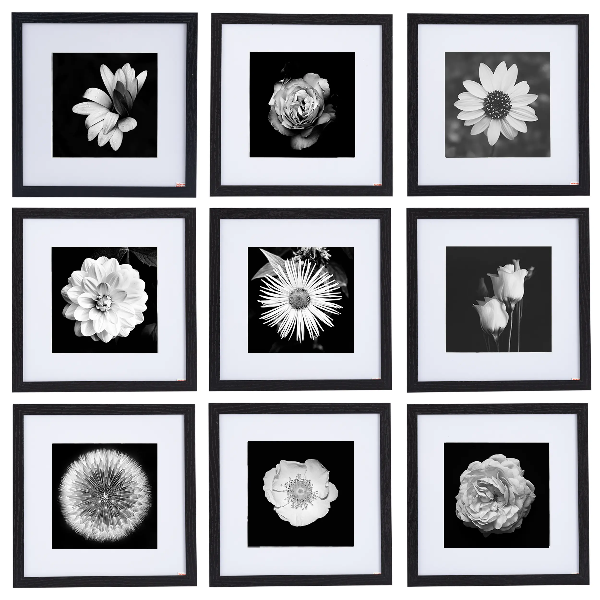 Innovative Haus 12x12 Picture Frame - Black - Display Pictures 8x8 Photo with Mat or 12x12 Pictures without Mat - Home Decorative for Wall Gallery Hanging - Classic Gallery Square Photo Frame