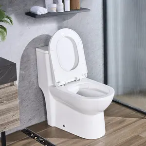 One-Piece Elongated Toilet With Dual-Flush 1.1/1.6 GPF, Comfortable Chair-Height Seat, Standard Height, Easy-Clean Skirted Design, 12-Inch Rough-In, White And Silver Finish, Quiet Operation, Ideal For Bathroom Renovations