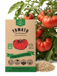 Red Beefsteak Tomato Seeds