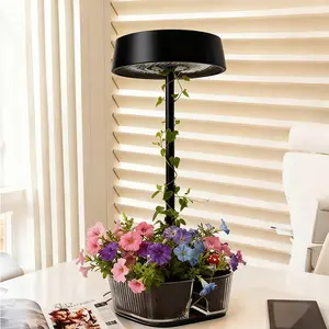 ORADO Modern Table Lamp with Acrylic Tray – Decorative Plant Light, Aroma Lamp, Desk Organizer & Minimalist Home Decor Lighting Wireless