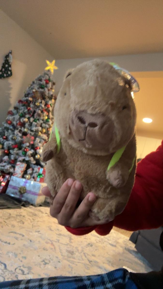 Item: 1 pack (9 inch)