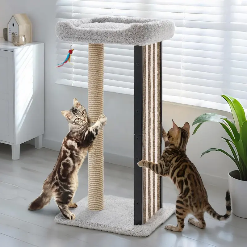 large cat scratch posts - TikTok Shop