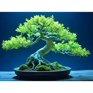 One Dwarf Green Willow Bonsai Tree - Thick Trunk