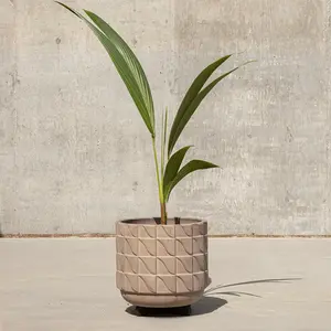 Case Study® Ceramics Large Wave Planter