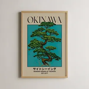 Vintage Okinawa Print Wall Art, Tropical Beach Home Decor, Asian Art, Unique Coastal Aesthetic, 2D Japanese Plane Wall Craft, Artwork