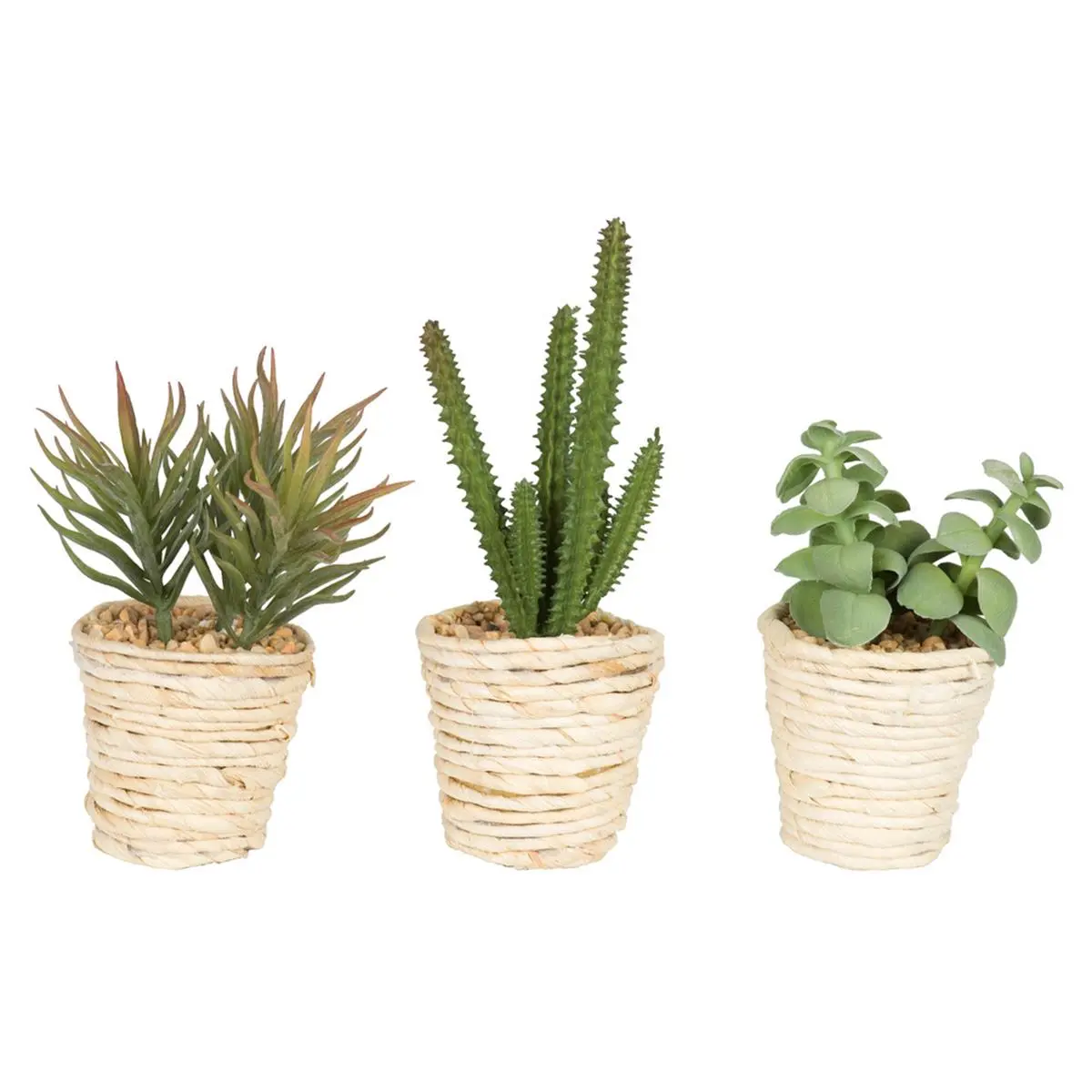 Vickerman 5 in. Potted Artificial Succulent Cactus Assortment Set of 3 - 1 lbs Decorative Plants for Home Decor, Party Gifts, Artificial Plants
