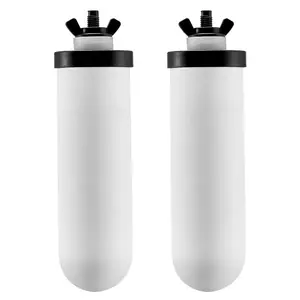 VEVOR Water Filters Replacement, Purification Elements, Ceramic Replacement Filters, Easy to Replace Water Filter, Gravity Water Filter System, Compatible with Most Brands, Pack of 2, White