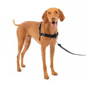 Large Dog Anti-Escape Harness Outdoor Shockproof Pet Halter for Walking Running Training Harness + No-Pull D-ring + Bungee Leash Anti-Pull Nylon Slip Lead