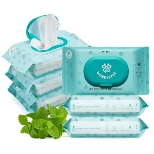 WONDERFUL Flushable Butt Wipes, Mint 100% Plant-Based Wet Wipes for Adults & Kids, Sewer & Septic Safe, Gentle for Sensitive Skin, Wipes Flushable Pack for Bathroom & Travel, 6-Pack (360 Wipes)