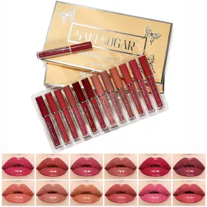 12 Shades Glow Finish Liquid Lipstick Set, Nude Wine Red Pink Dark Color Hydrating Lip Gloss Lip Makeup Kit for Women, Long-Lasting, Not Greasy, Lightweight, 1 fl oz, SET E