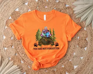 BLACKLYLY Orange Day Shirt Every Child Matters 2024 T-Shirt You Are Not Forgotten Shirt Awareness for Indigenous Orange Day Gift Indigenous Education Kindness and Equality September T-Shirt - Unisex Cotton Tee Shirt Top