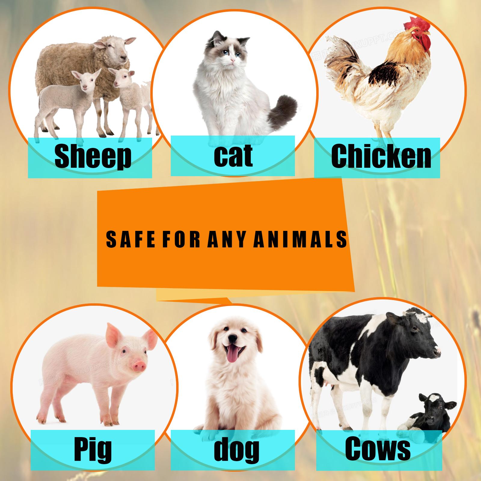 Pet deworming agent - Flea repellent for cats and dogs - External itch-relieving spray for cats and dogs