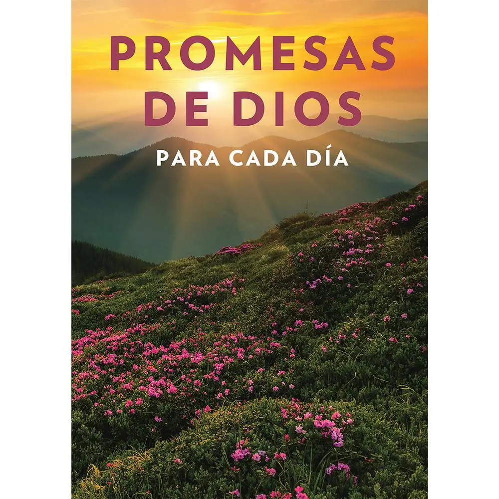 USED-Promesas de Dios Para Cada Día / God's Promises for Every Day by Countryman, Jack (Paperback)